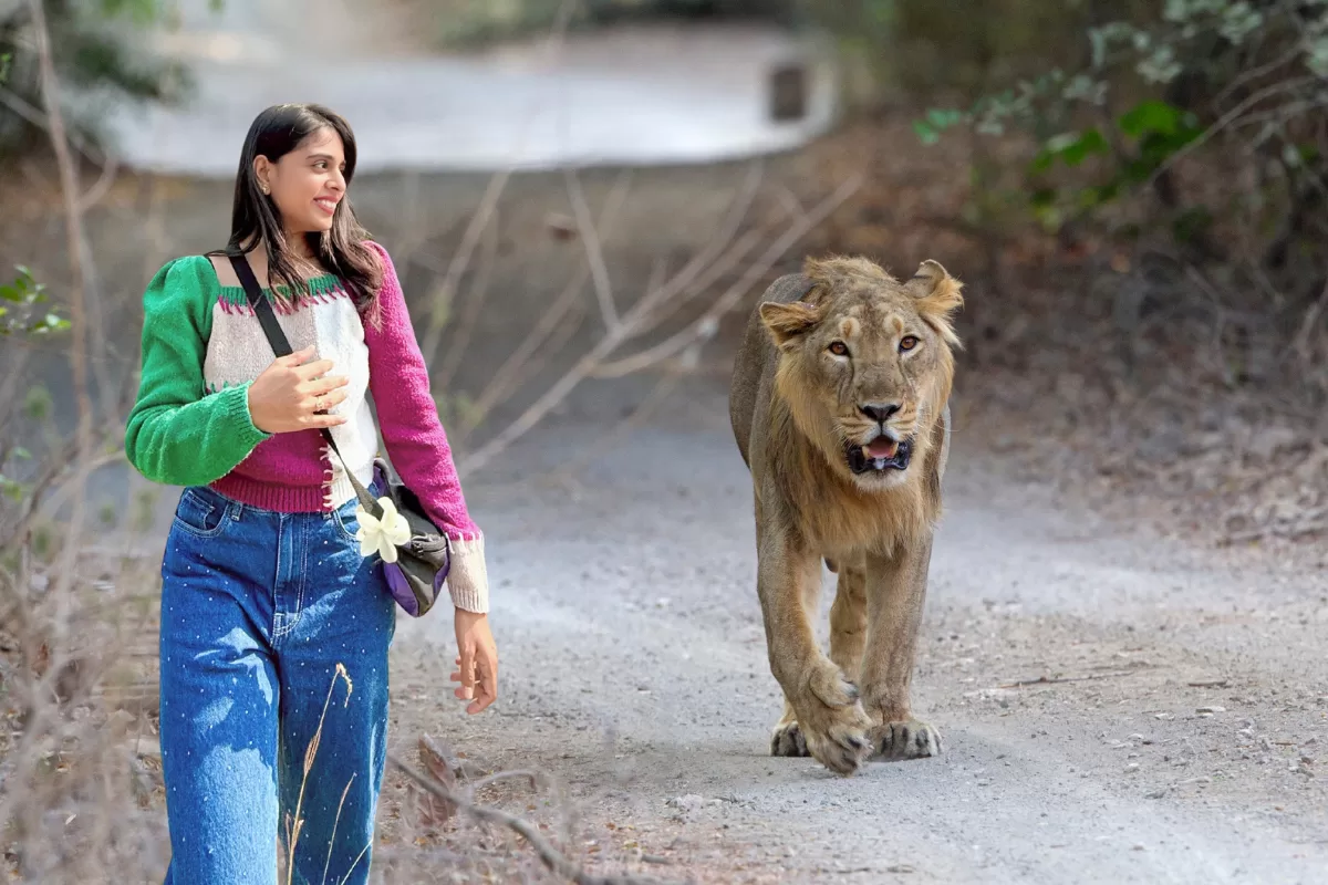 Woman walking during Ambardi Jungle Safari with Asiatic lion near Gir Forest