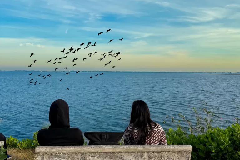 Two visitors sitting near Wadhvana Lake watching a flock of migratory birds flying over the calm water at Wadhvana Bird Sanctuary near Vadodara.
