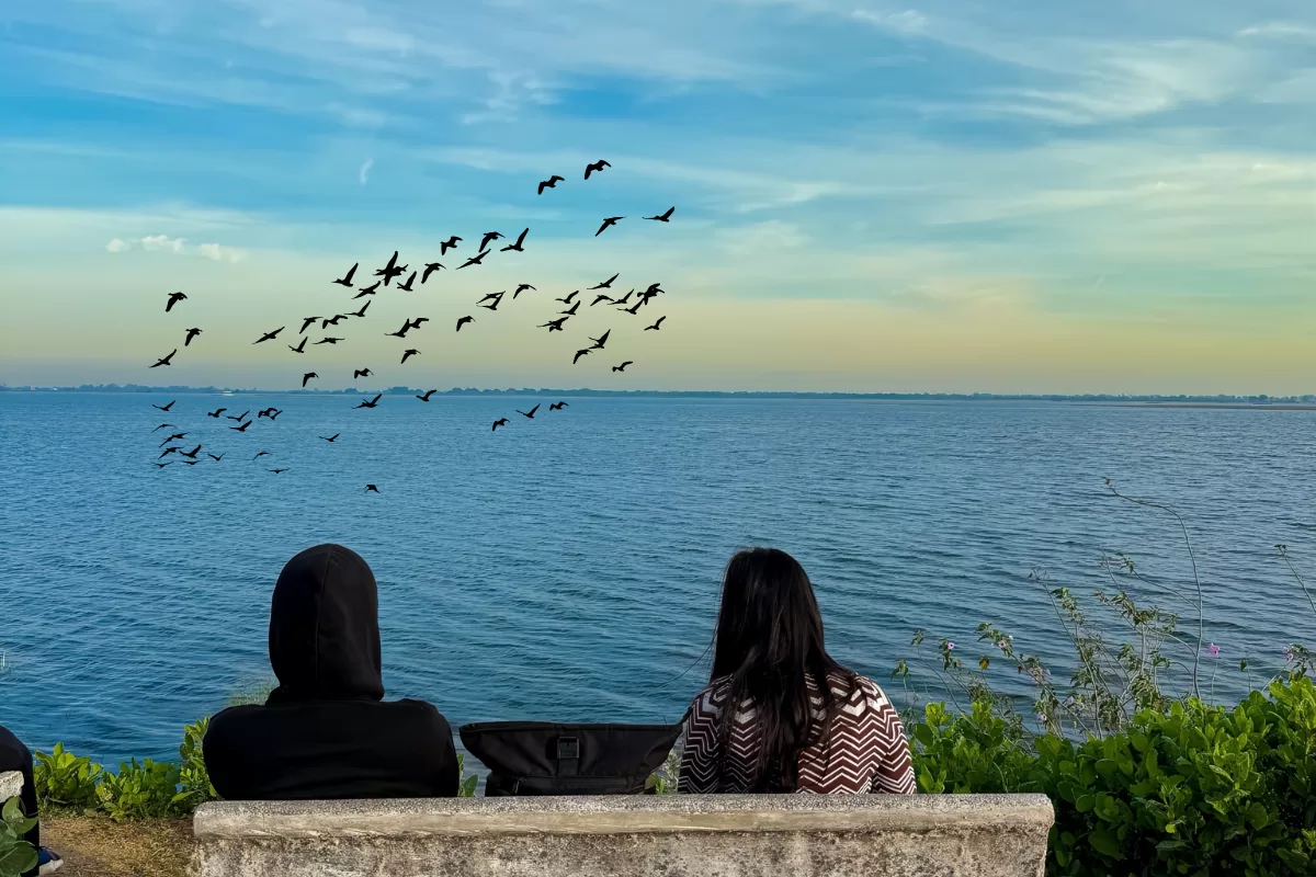 Two visitors sitting near Wadhvana Lake watching a flock of migratory birds flying over the calm water at Wadhvana Bird Sanctuary near Vadodara.