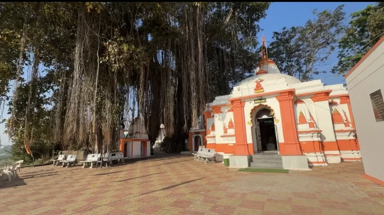 Shri Bhandareshwar Mahadev Temple in Haripura Sinor Vadodara near Narmada river with banyan tree and peaceful surroundings